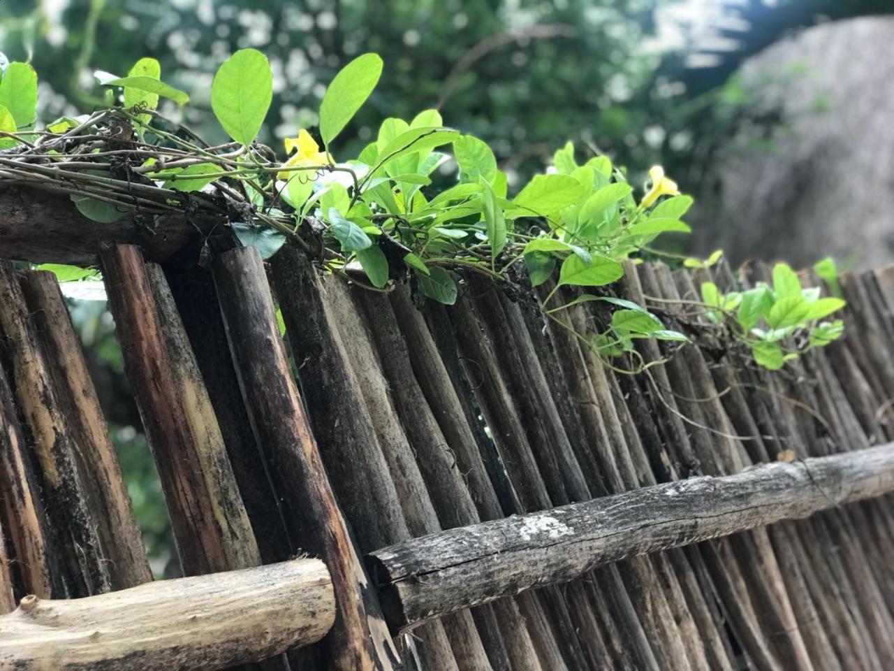 Villa Cabanas La Alborada Tulum Exterior foto